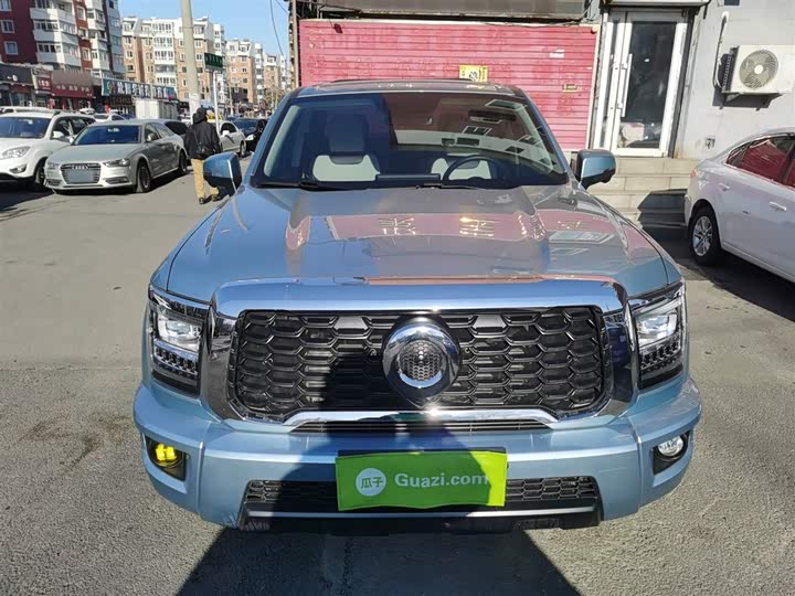 Фото 3 - Great Wall King Kong Poer