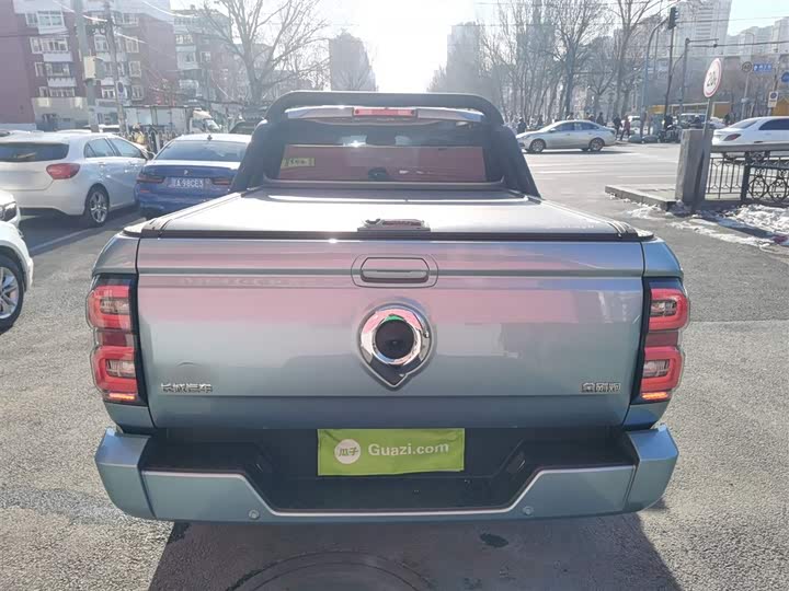 Фото 6 - Great Wall King Kong Poer