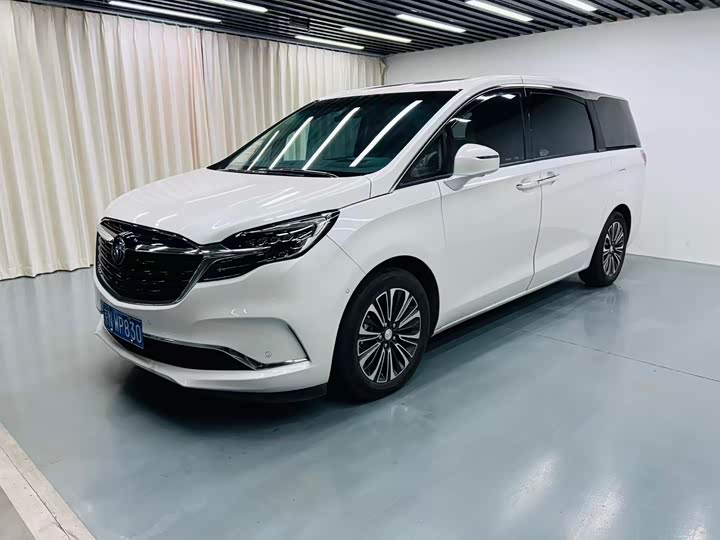 Фото 1 - Buick GL8 ES