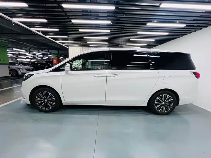 Фото 4 - Buick GL8 ES