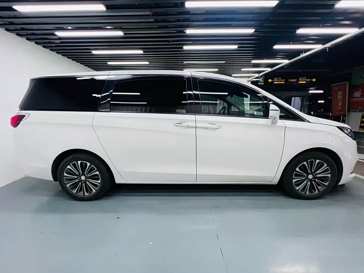 Фото 5 - Buick GL8 ES