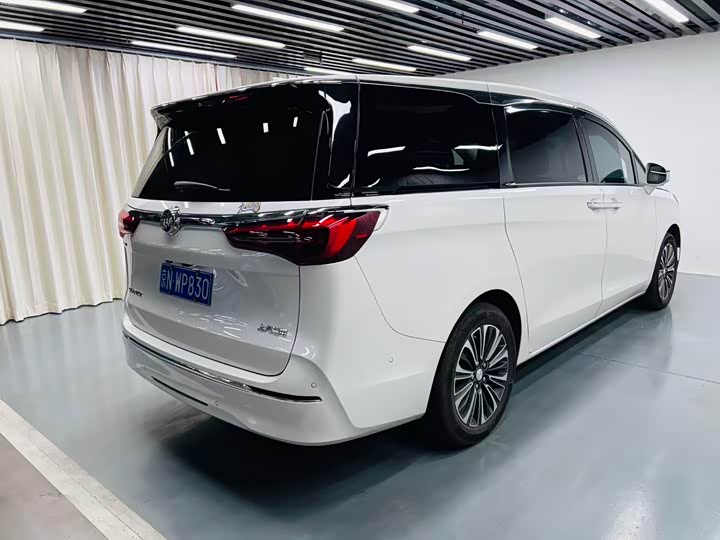 Фото 9 - Buick GL8 ES