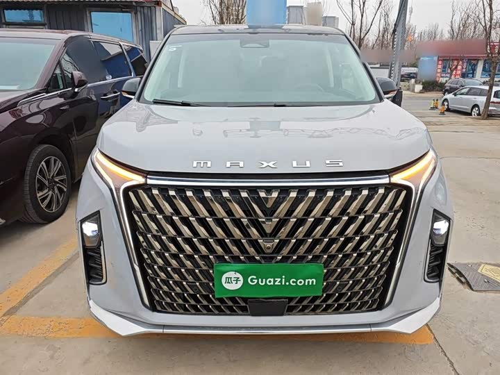 Фото 3 - Maxus G90