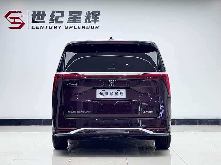 Фото 5 - Buick GL8 Century