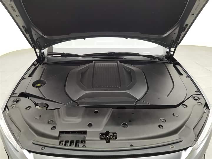 Фото 6 - BYD Qin Plus