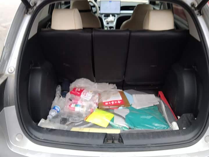 Фото 4 - Geely Galaxy Geome