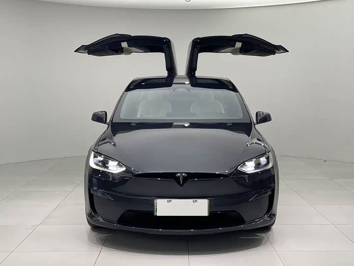 Фото 2 - Tesla Model X