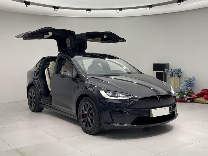 Фото 3 - Tesla Model X
