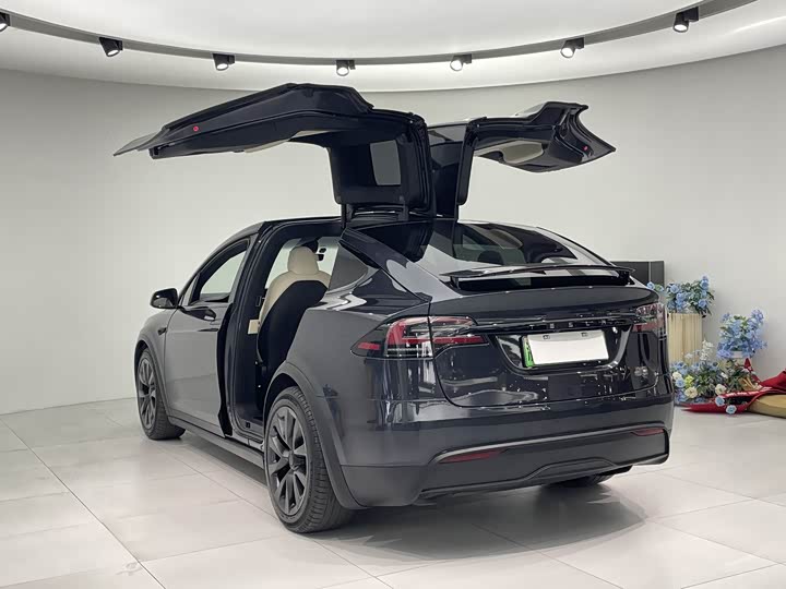 Фото 6 - Tesla Model X