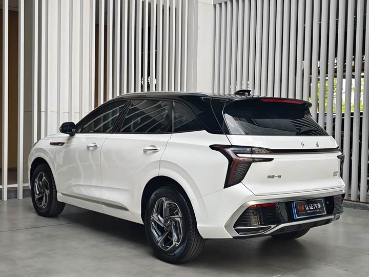 Фото 9 - Hongqi HS3