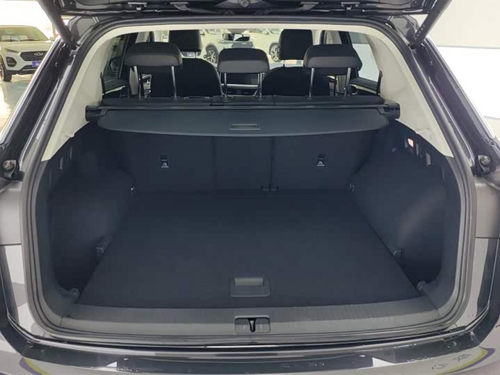 Фото 4 - Volkswagen Tayron