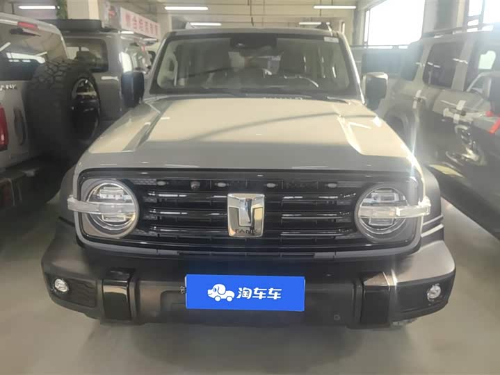 Фото 2 - Tank 300