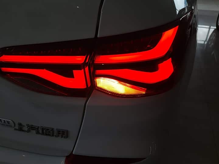 Фото 8 - Chevrolet Monza