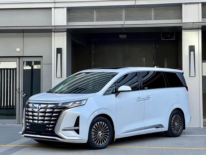 Фото 1 - Denza D9