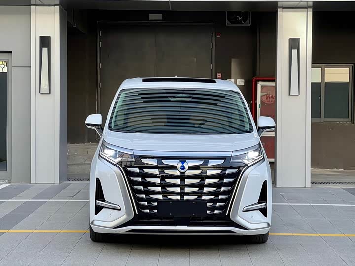 Фото 2 - Denza D9