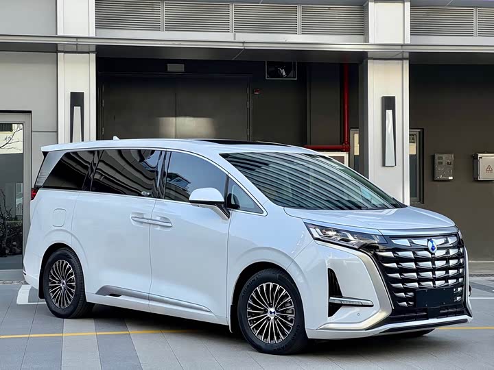 Фото 3 - Denza D9