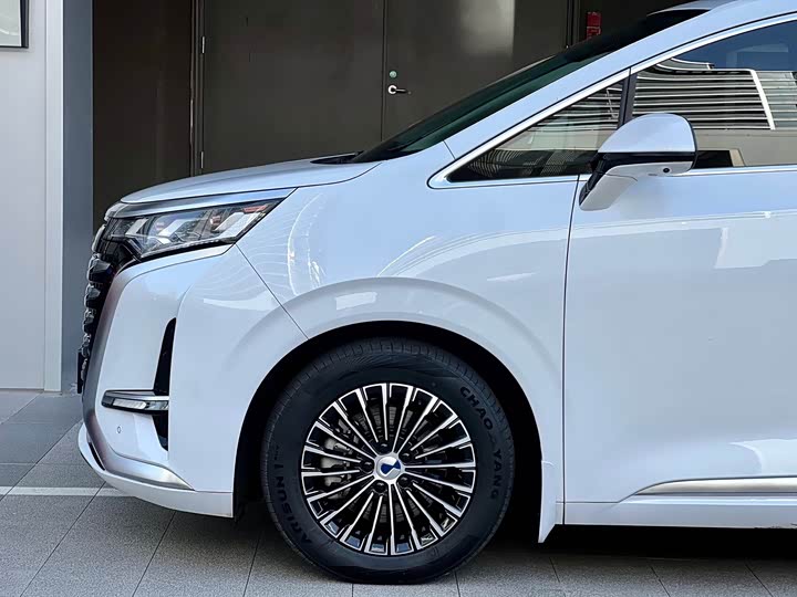 Фото 9 - Denza D9