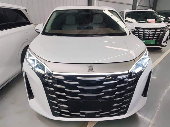 Фото 3 - BYD Xia