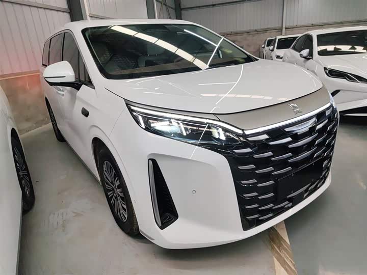 Фото 4 - BYD Xia