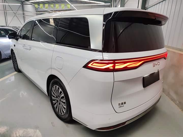Фото 5 - BYD Xia