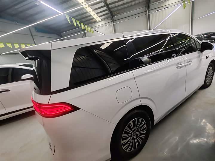 Фото 7 - BYD Xia