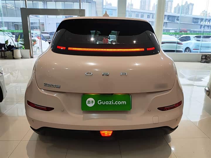 Фото 6 - Ora Good Cat (03)