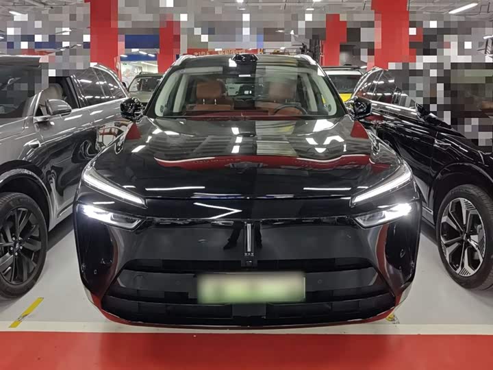 Фото 3 - Wey Lanshan