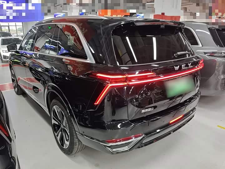 Фото 5 - Wey Lanshan