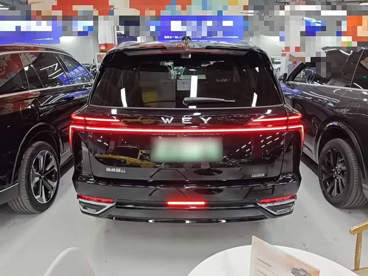 Фото 6 - Wey Lanshan