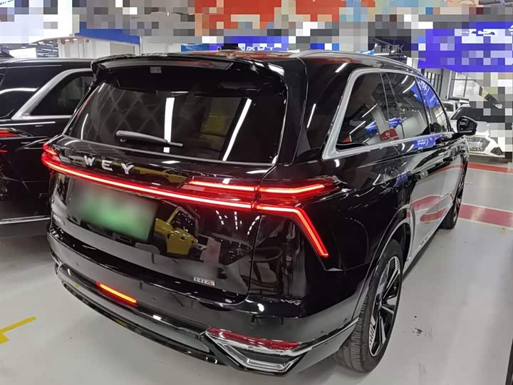 Фото 7 - Wey Lanshan