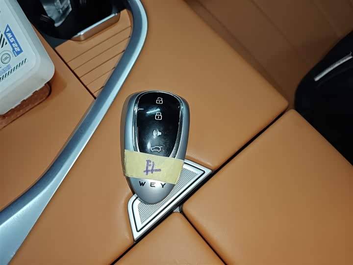 Фото 9 - Wey Lanshan