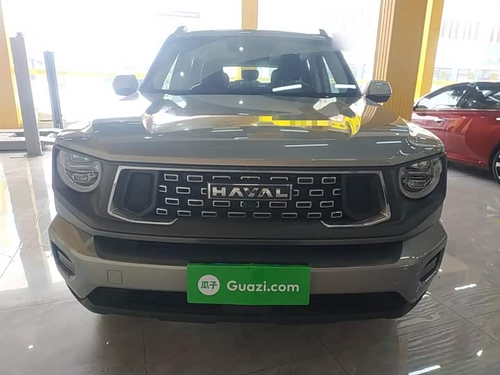 Фото 3 - Haval H-Dog