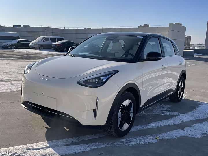 Фото 1 - Geely Galaxy Geome