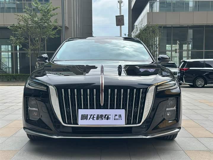 Фото 3 - Hongqi H5