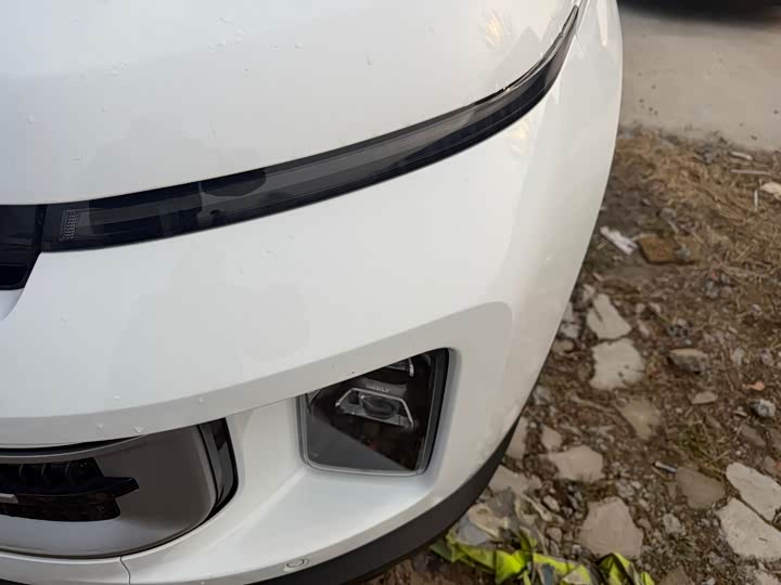 Фото 4 - Geely Icon