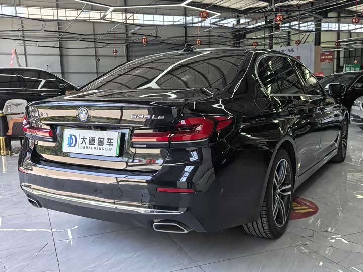 Фото 6 - BMW 5 Series Hybrid