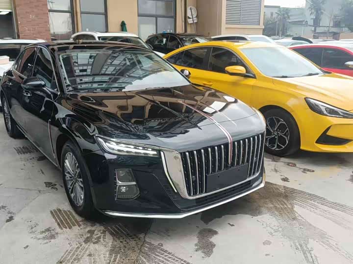 Фото 3 - Hongqi H5