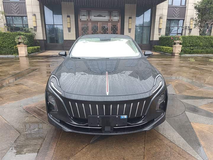 Фото 3 - Hongqi E-QM5