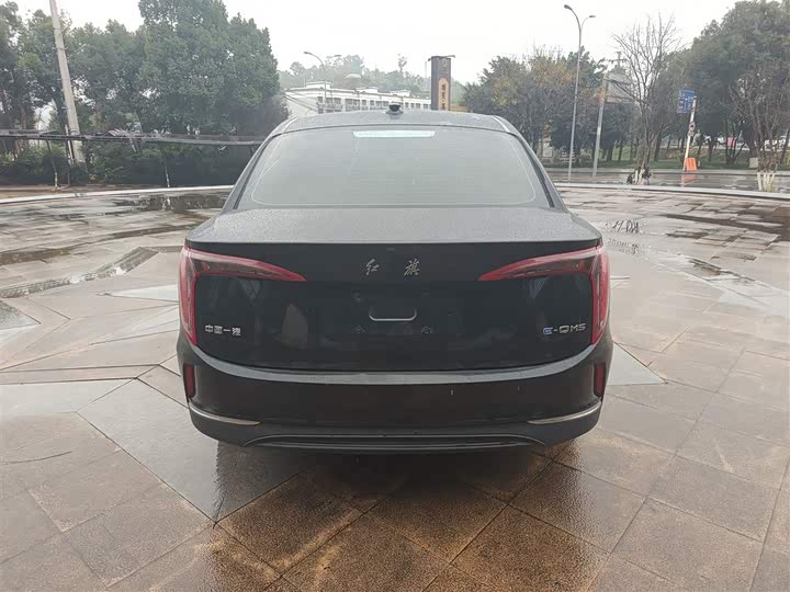 Фото 6 - Hongqi E-QM5