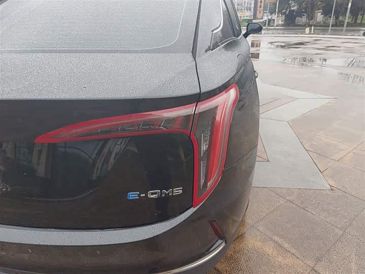 Фото 8 - Hongqi E-QM5