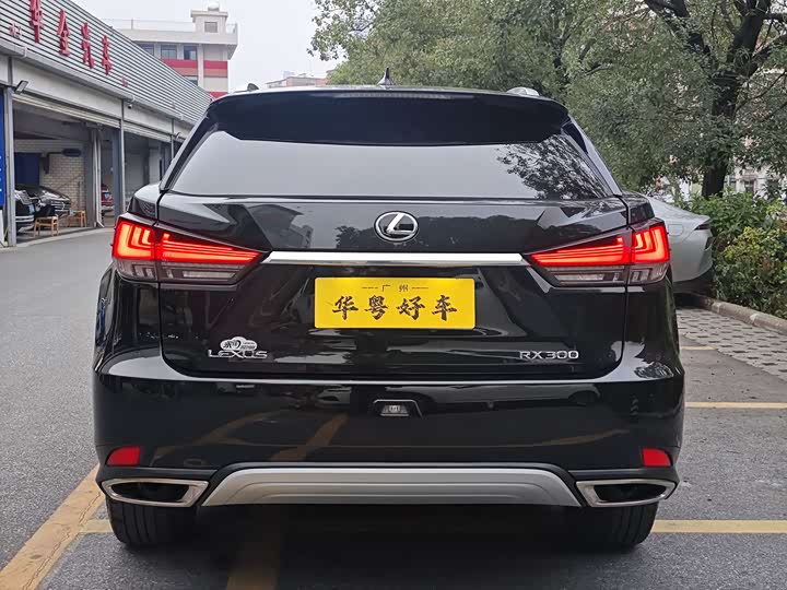 Фото 3 - Lexus RX