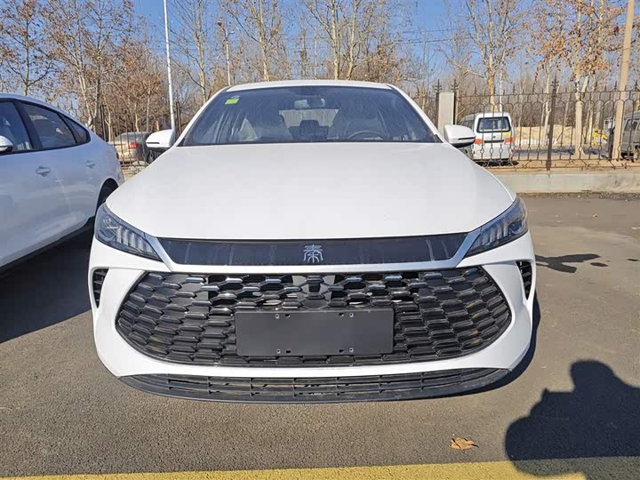 Фото 3 - BYD Qin Plus