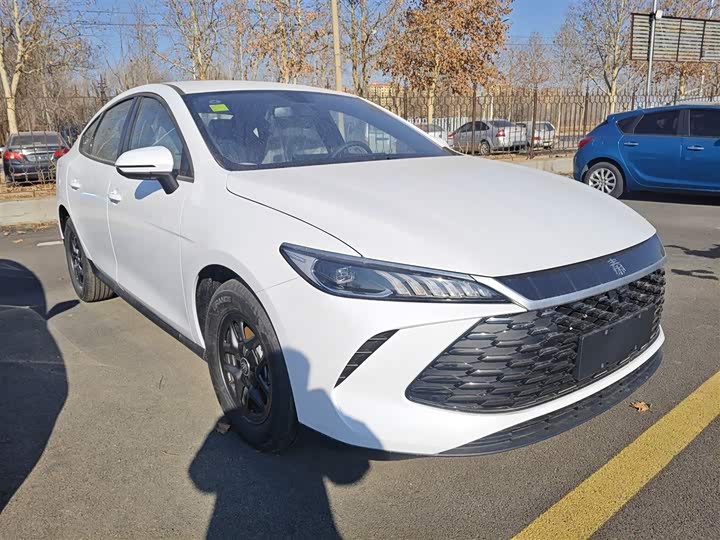 Фото 4 - BYD Qin Plus