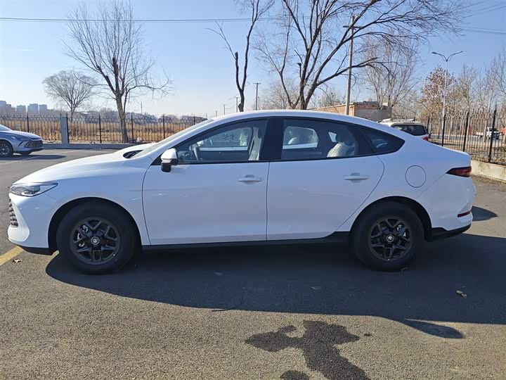 Фото 5 - BYD Qin Plus