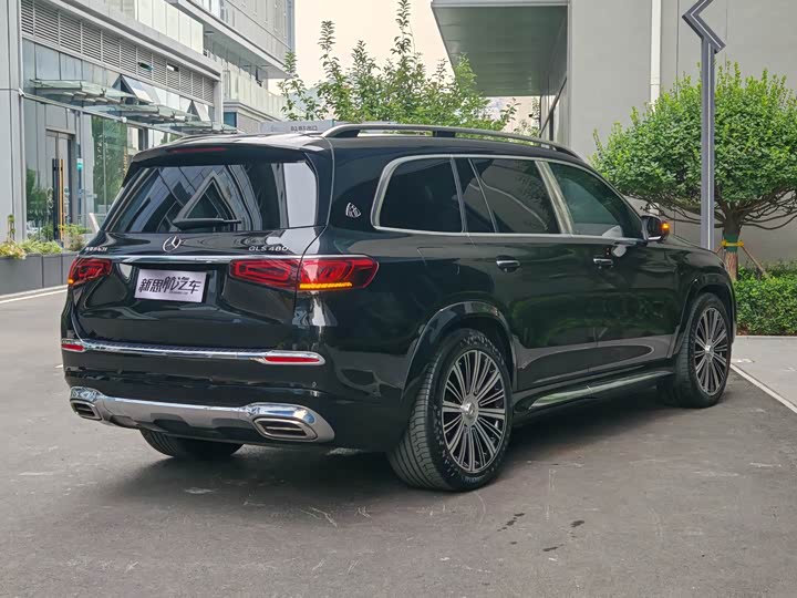 Фото 6 - Mercedes-Benz Maybach GLS