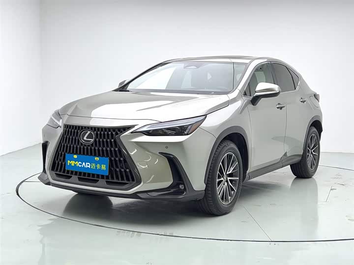 Фото 1 - Lexus NX