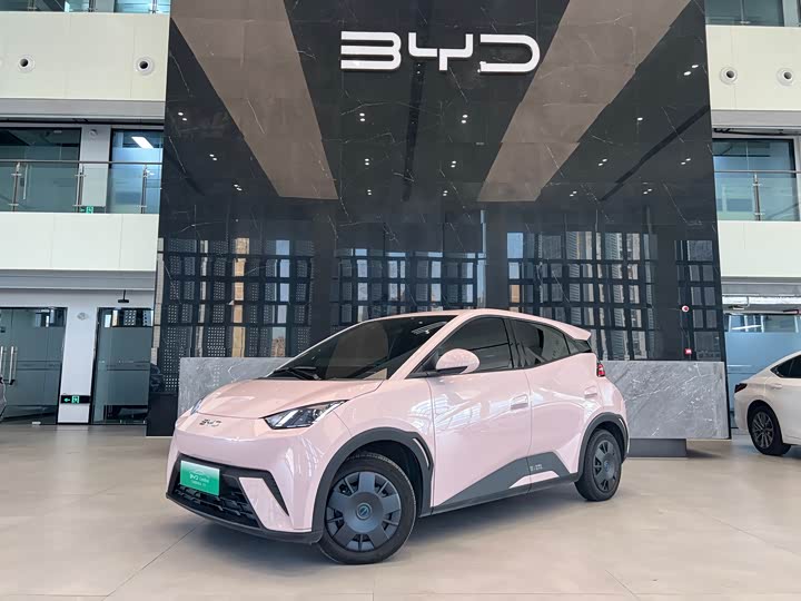 Фото 1 - BYD Seagull