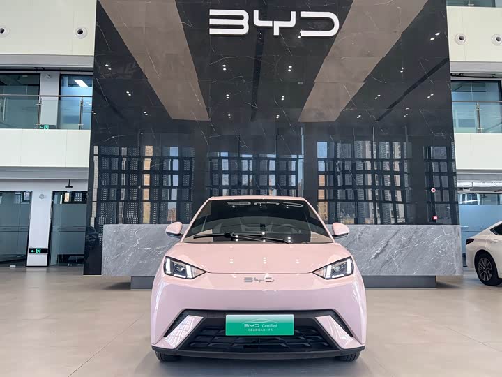 Фото 2 - BYD Seagull