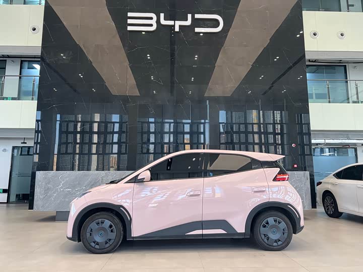 Фото 3 - BYD Seagull