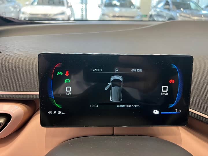 Фото 4 - BYD Seagull